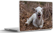 Laptop sticker - 10.1 inch - Afbeelding van een net geboren lammetje