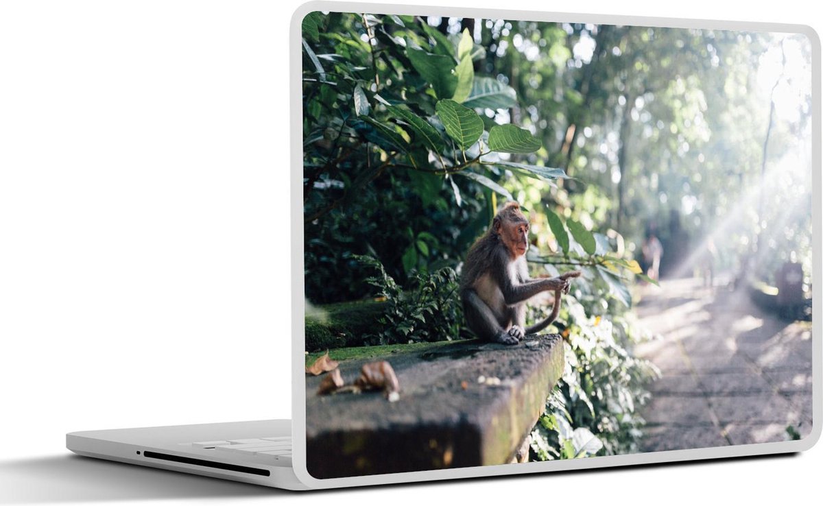 Laptop sticker - 10.1 inch - Aap - Bos - Licht