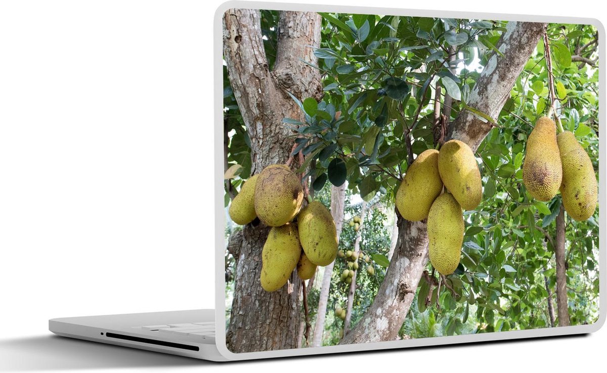 Laptop sticker - 10.1 inch - Jackfruit of nangka aan een boom in Sri Lanka
