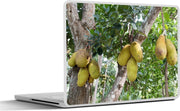 Laptop sticker - 10.1 inch - Jackfruit of nangka aan een boom in Sri Lanka