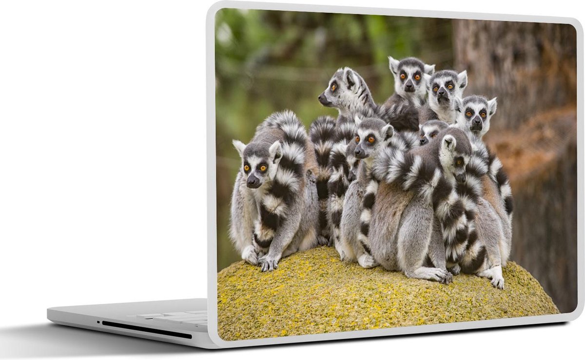 Laptop sticker - 10.1 inch - Acht lemuur apen op een rots