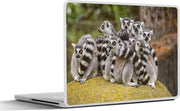 Laptop sticker - 10.1 inch - Acht lemuur apen op een rots