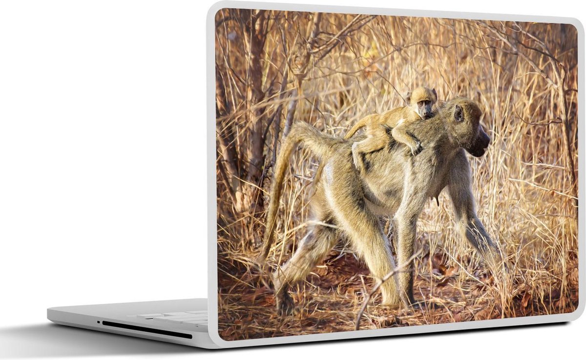 Laptop sticker - 10.1 inch - Aap met jong op rug tussen het droge gras