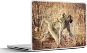 Laptop sticker - 10.1 inch - Aap met jong op rug tussen het droge gras