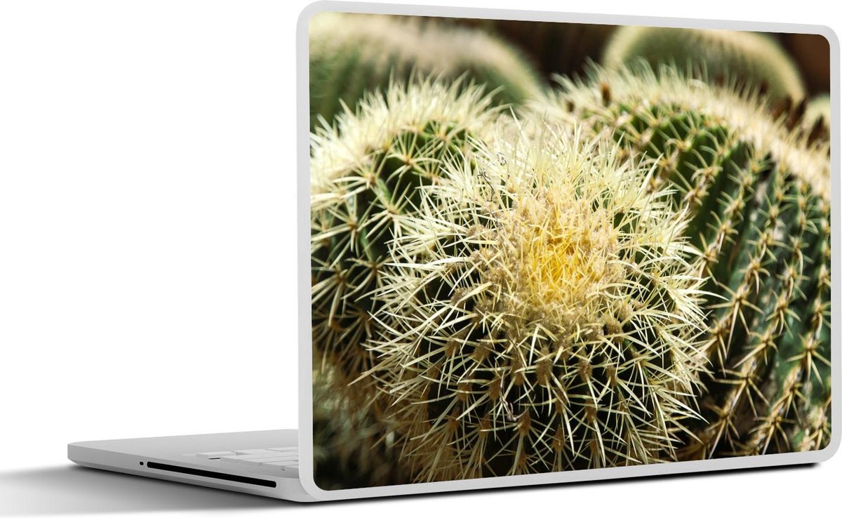 Laptop sticker - 10.1 inch - Aantal Schoonmoedersstoel cactussen
