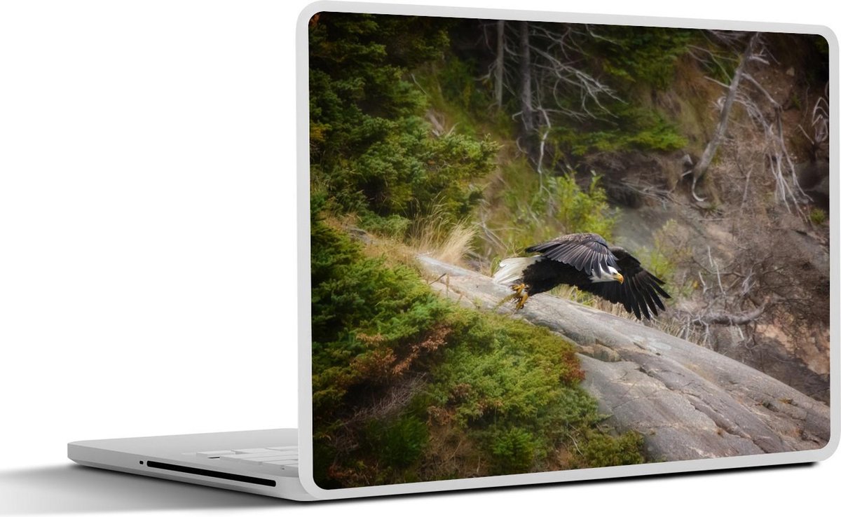 Laptop sticker - 10.1 inch - Amerikaanse zeearend bij Kaap Breton