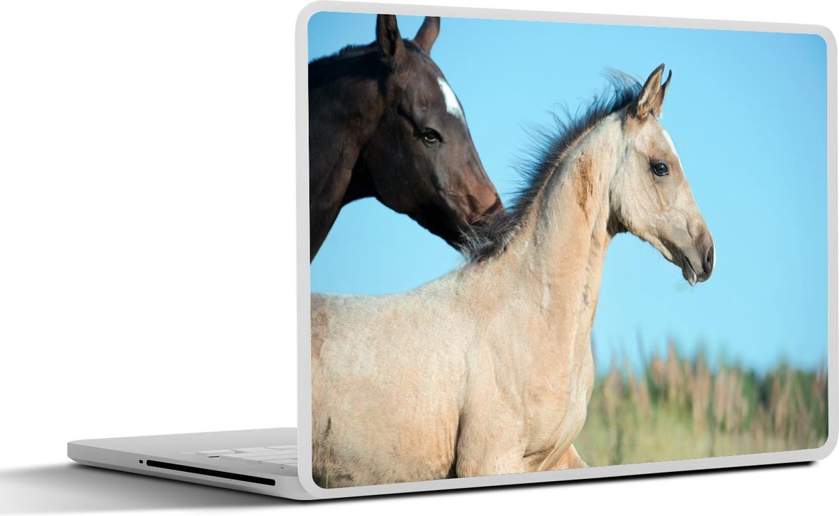 Laptop sticker - 10.1 inch - Akhal-Teke veulen met moeder