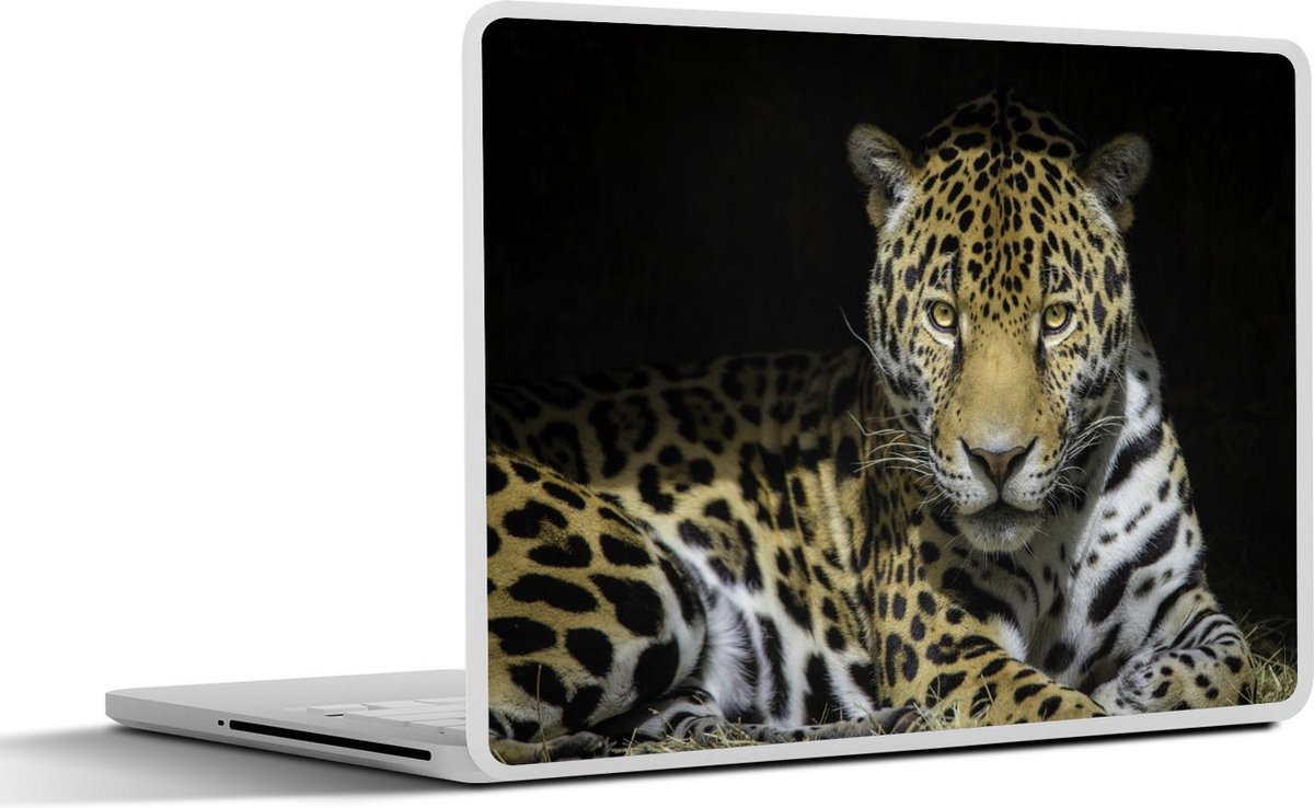 Laptop sticker - 10.1 inch - Jaguar - Zon - Grot
