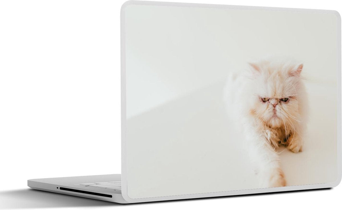 Laptop sticker - 10.1 inch -  een Exotic kat