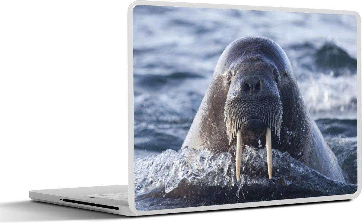 Laptop sticker - 10.1 inch -  een walrus in het water