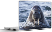 Laptop sticker - 10.1 inch -  een walrus in het water