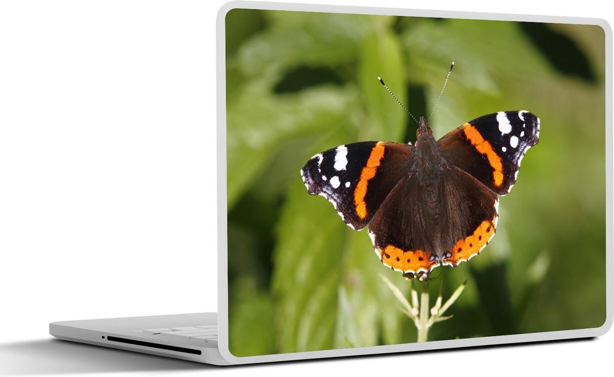 Laptop sticker - 10.1 inch - Admiraalvlinder op een groene plant