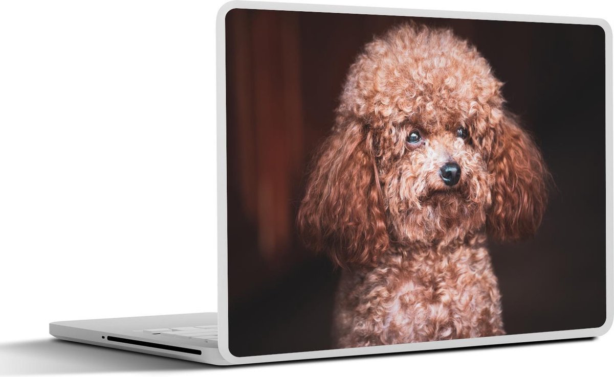 Laptop sticker - 10.1 inch -  een poedel met een dikke