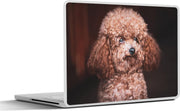Laptop sticker - 10.1 inch -  een poedel met een dikke