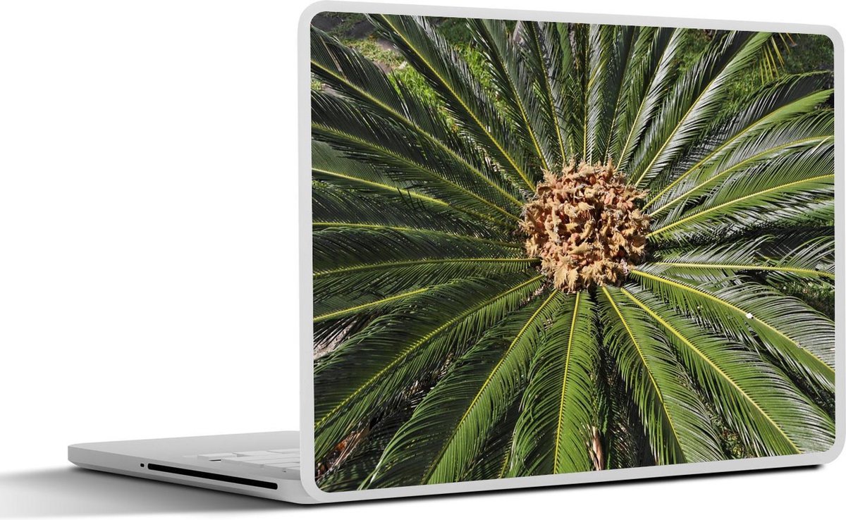 Laptop sticker - 10.1 inch - Afbeelding van een donkergroene sagopalm
