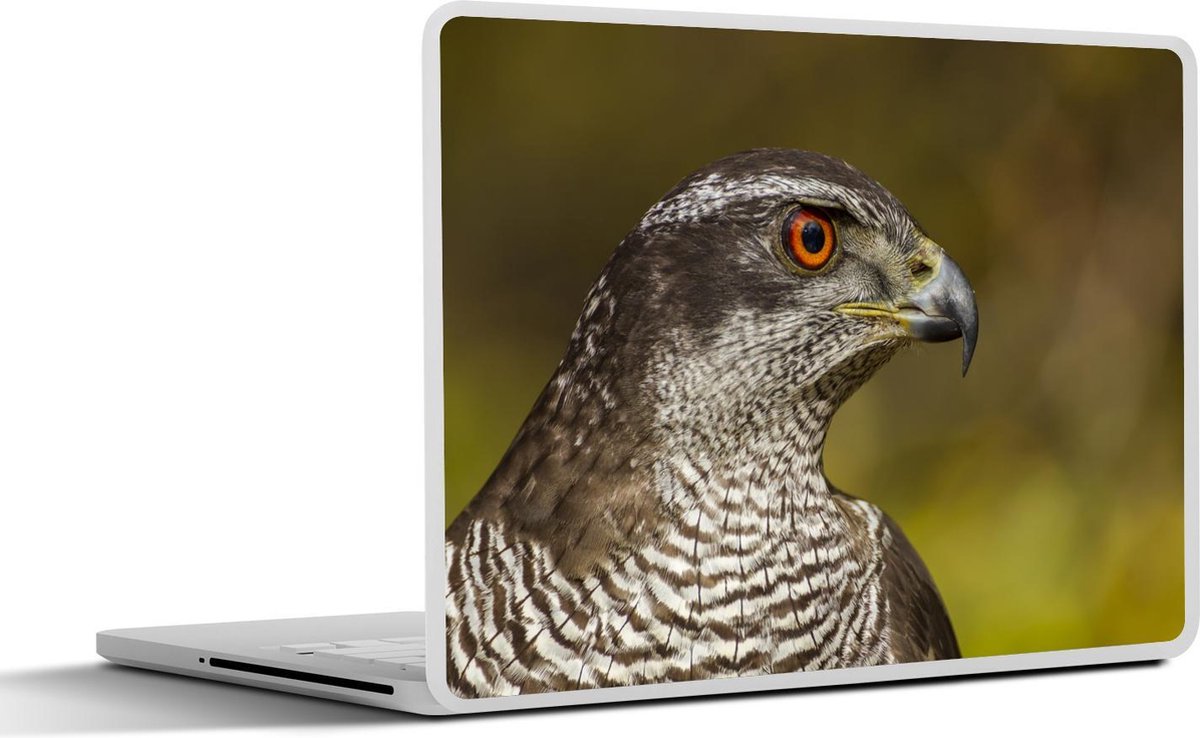 Laptop sticker - 10.1 inch -  een volwassen vrouwelijke havik