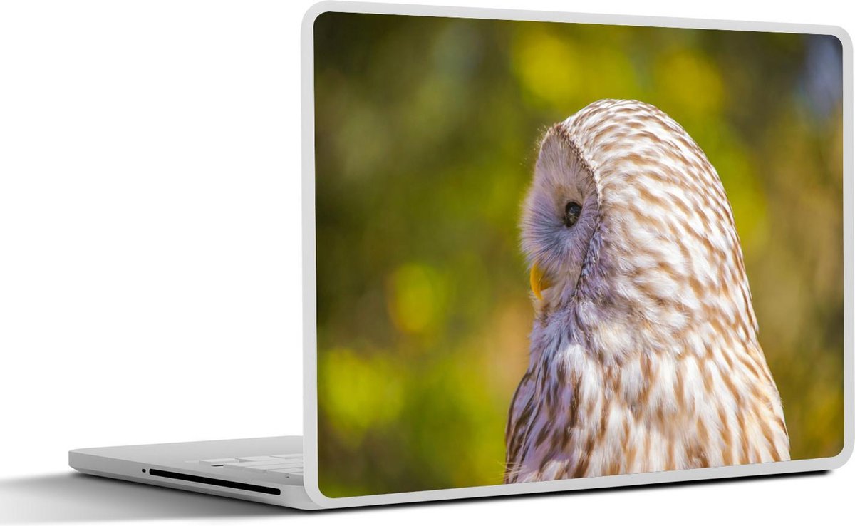 Laptop sticker - 10.1 inch -  een opzij kijkende Oeraluil
