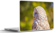 Laptop sticker - 10.1 inch -  een opzij kijkende Oeraluil