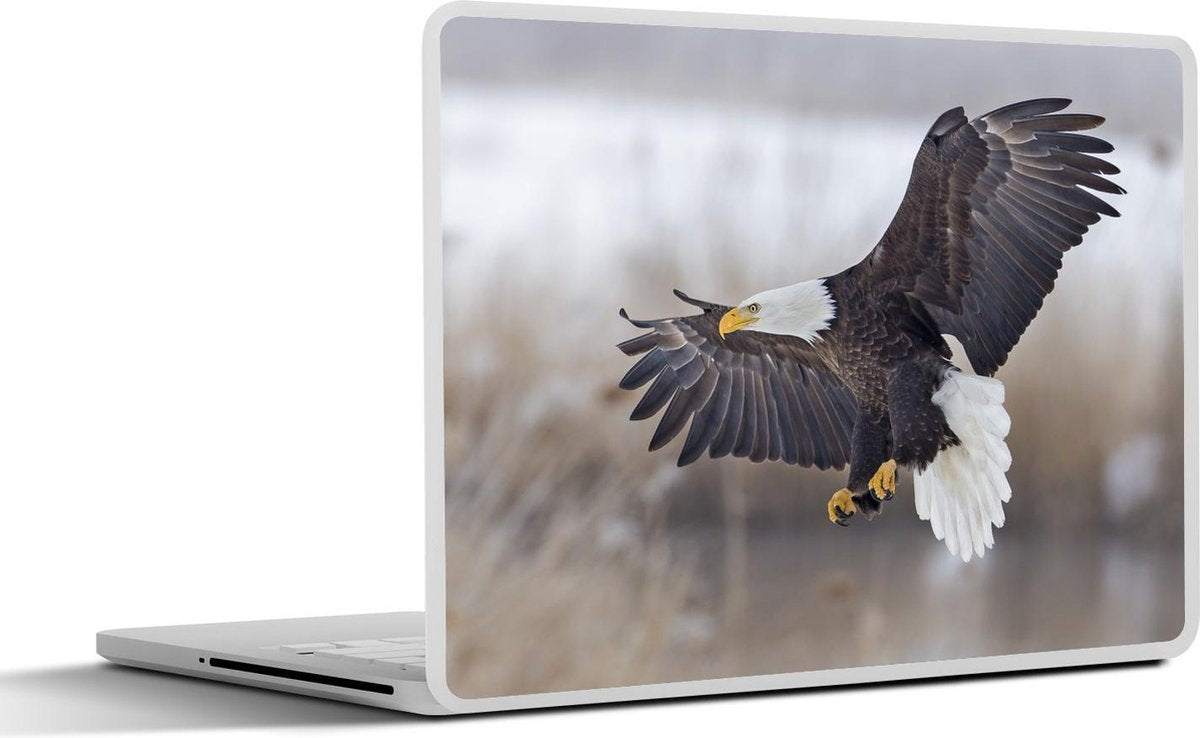 Laptop sticker - 10.1 inch - Jagende Amerikaanse zeearend