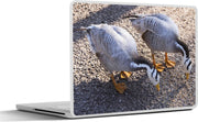 Laptop sticker - 10.1 inch - Indische ganzen opzoek naar voedsel