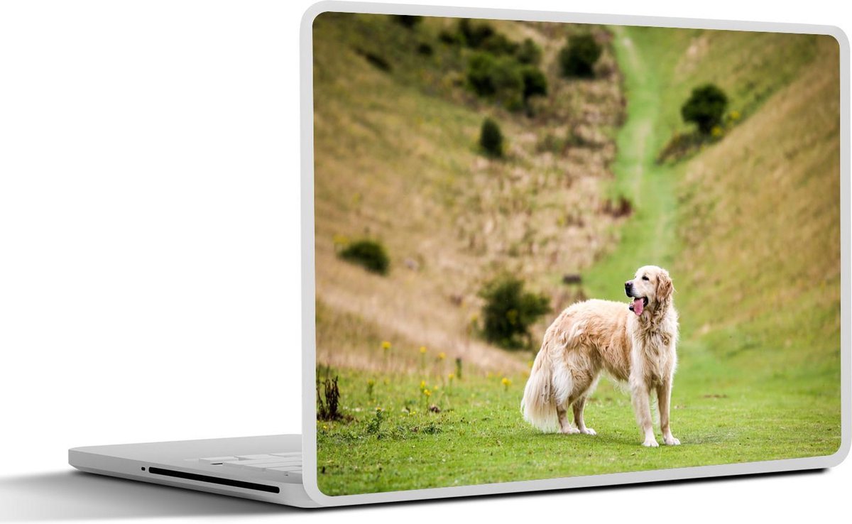 Laptop sticker - 10.1 inch - afbeelding van een Golden Retriever
