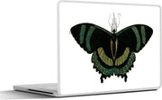 Laptop sticker - 10.1 inch - Illustratie van een zwarte vlinder met groene strepen