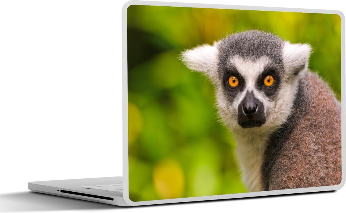 Laptop sticker - 10.1 inch -  een ringstaartmaki met een groene achtergrond
