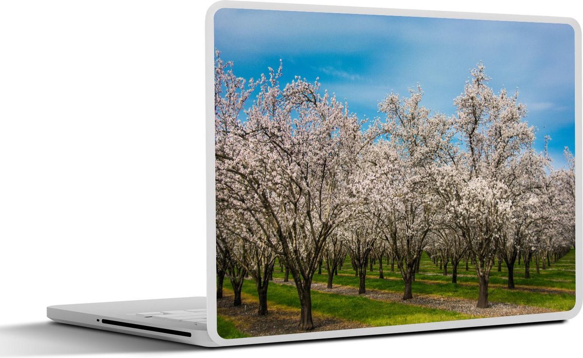 Laptop sticker - 10.1 inch - Amandelbomen met een heldere lucht
