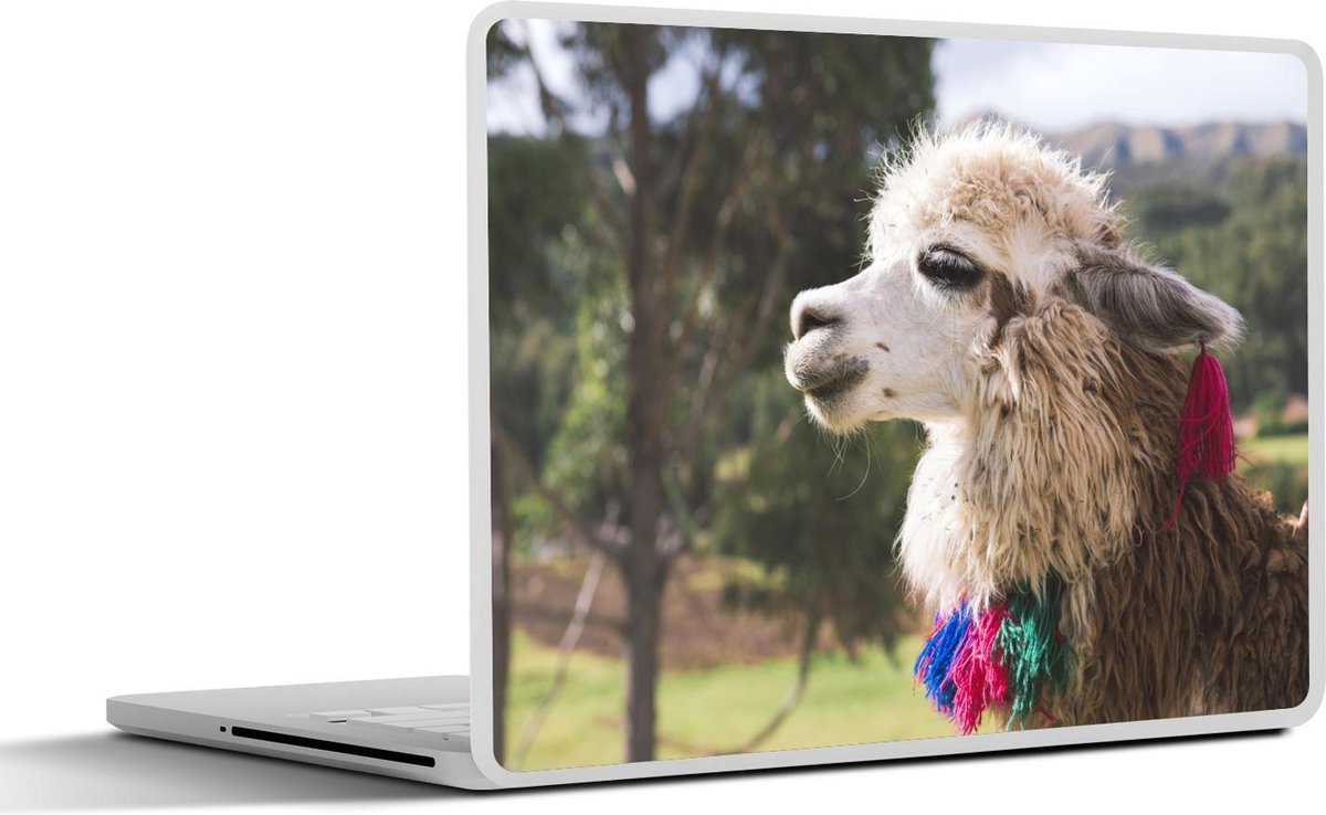 Laptop sticker - 10.1 inch - alpaca