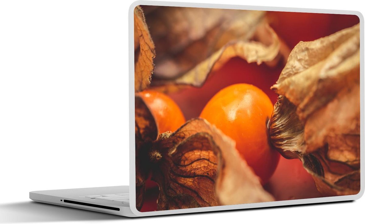Laptop sticker - 10.1 inch - Ingezoomde opname van goudbessen