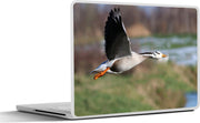 Laptop sticker - 10.1 inch - Indische gans met wijd gespreide vleugels