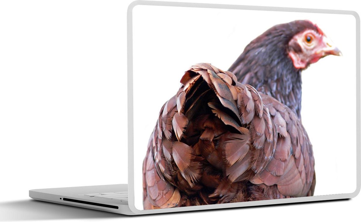 Laptop sticker - 10.1 inch - Achteraanzicht kip