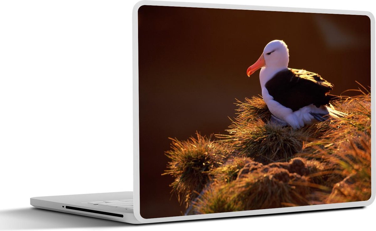 Laptop sticker - 10.1 inch - Albatros op een nest