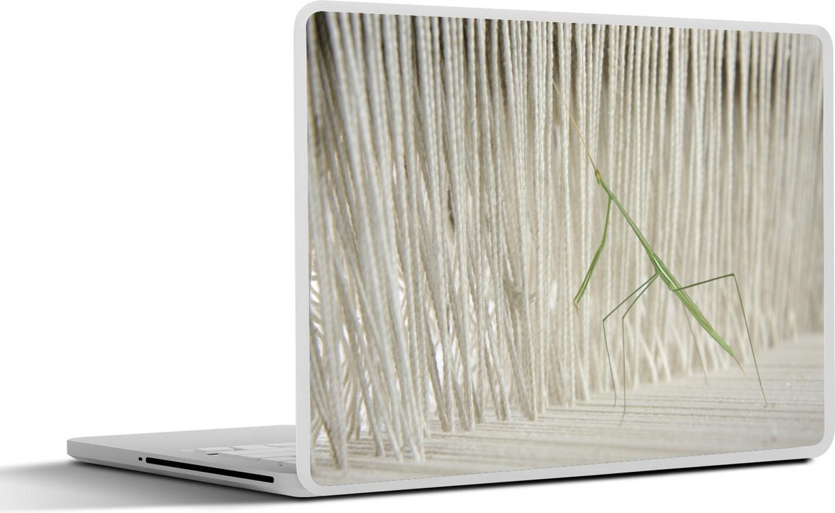 Laptop sticker - 10.1 inch -  een wandelende tak