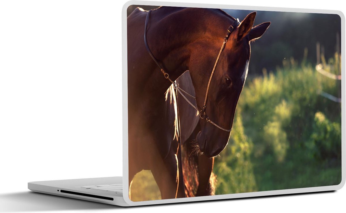 Laptop sticker - 10.1 inch -  Akhal-Teke volbloed