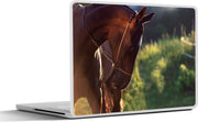 Laptop sticker - 10.1 inch -  Akhal-Teke volbloed