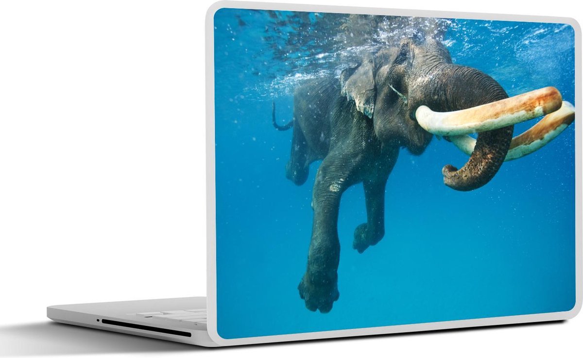 Laptop sticker - 10.1 inch - Indische olifant