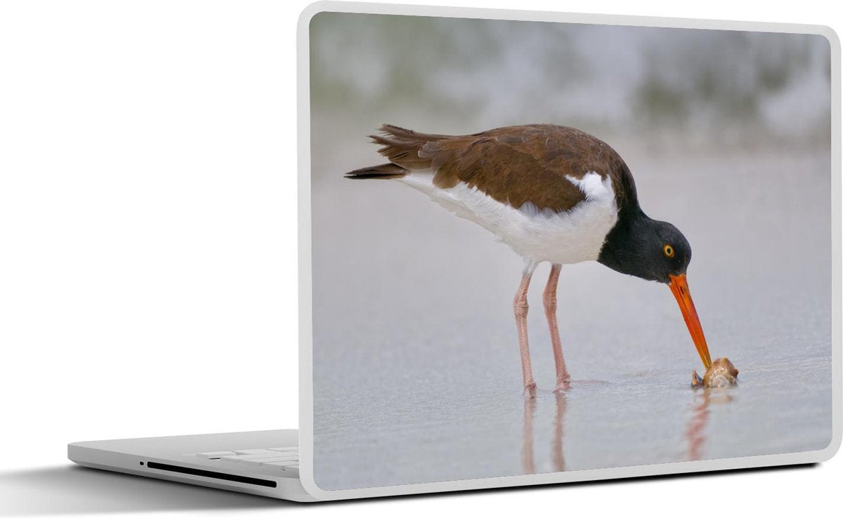 Laptop sticker - 10.1 inch - Amerikaanse scholekster op zoek naar voedsel bij een strand