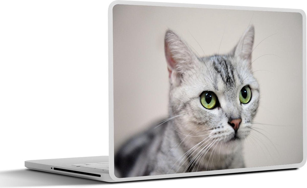 Laptop sticker - 10.1 inch - Amerikaanse Korthaar met groene ogen