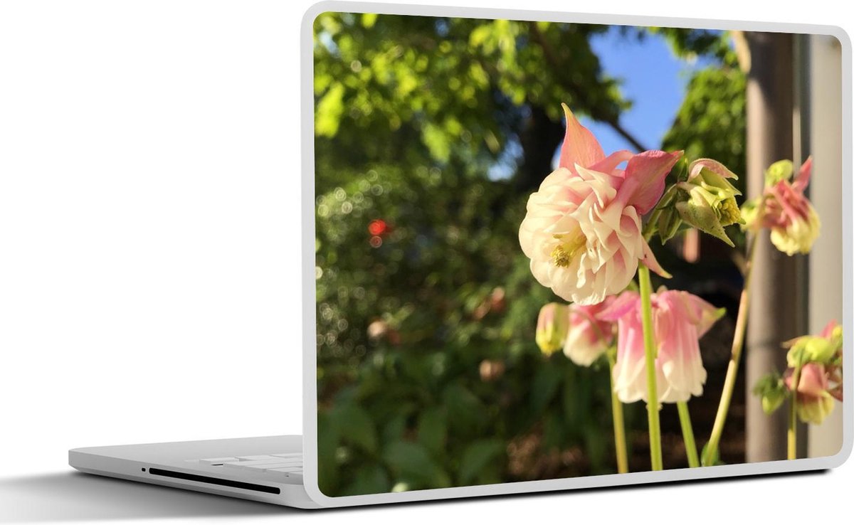 Laptop sticker - 10.1 inch - Akelei verlicht door de zon