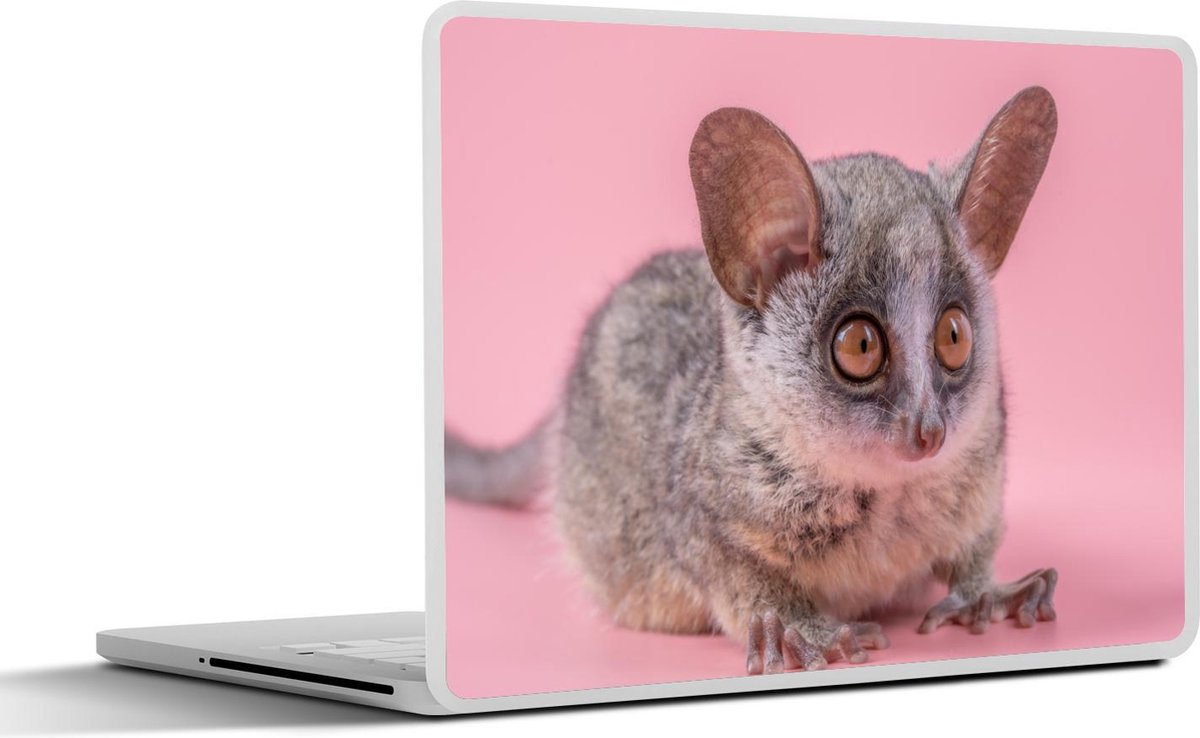 Laptop sticker - 10.1 inch -  een galago op een roze achtergrond