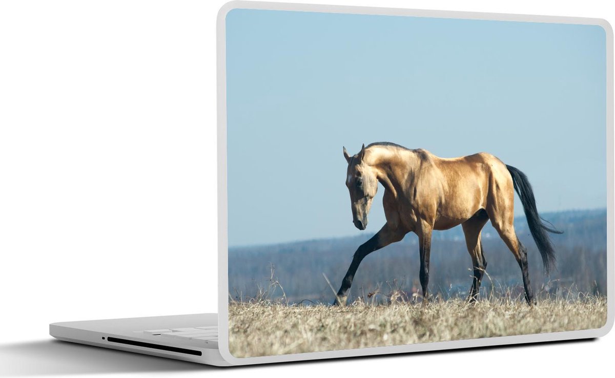 Laptop sticker - 10.1 inch - Akhal-Teke in veld