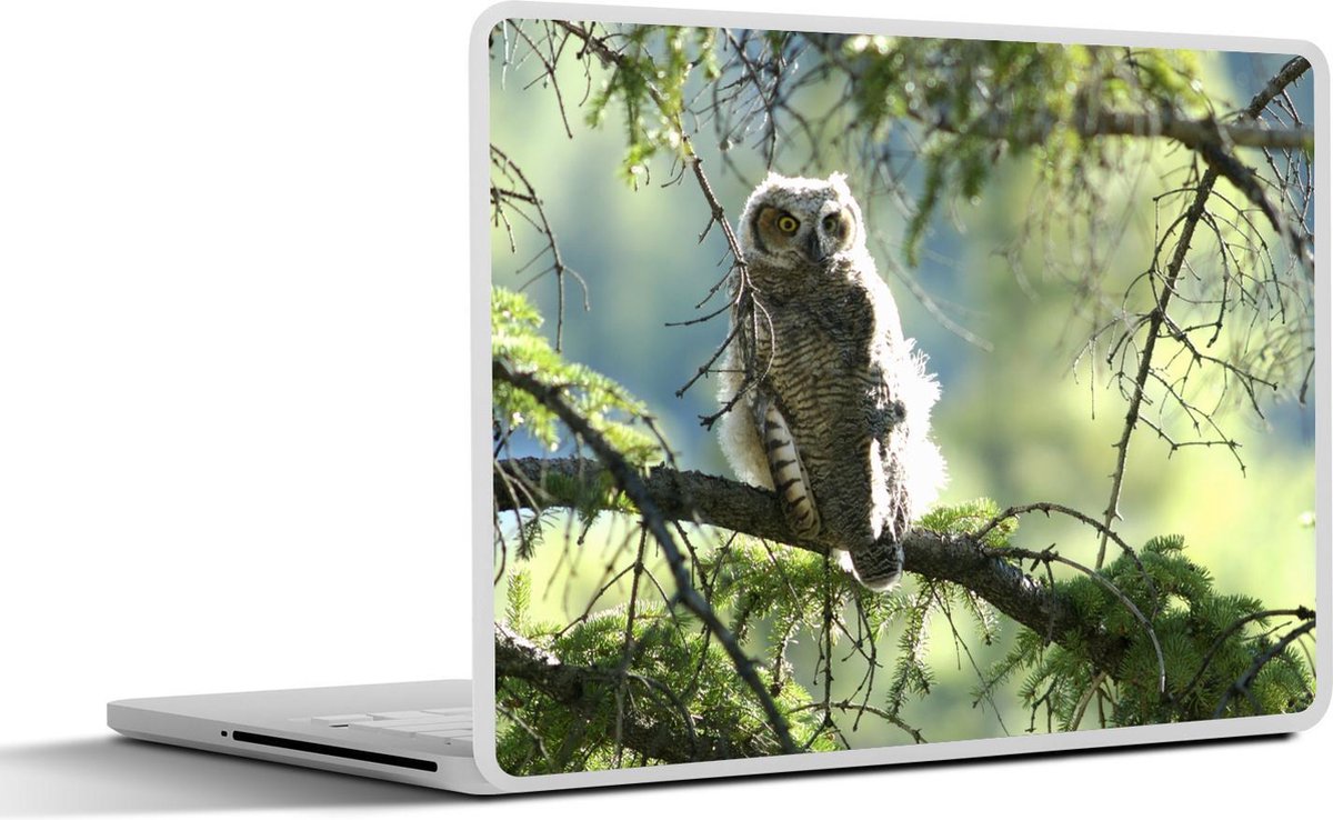 Laptop sticker - 10.1 inch - Amerikaanse oehoe op een tak