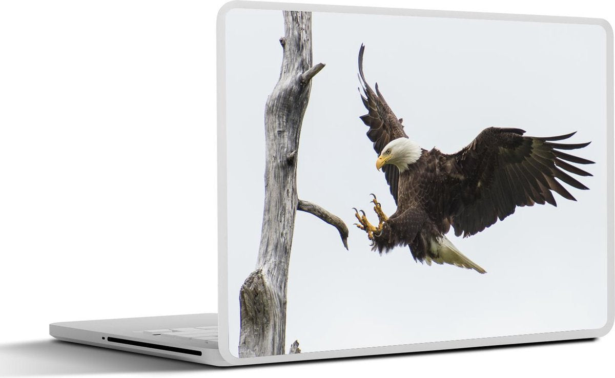 Laptop sticker - 10.1 inch - Amerikaanse zeearend land op tak