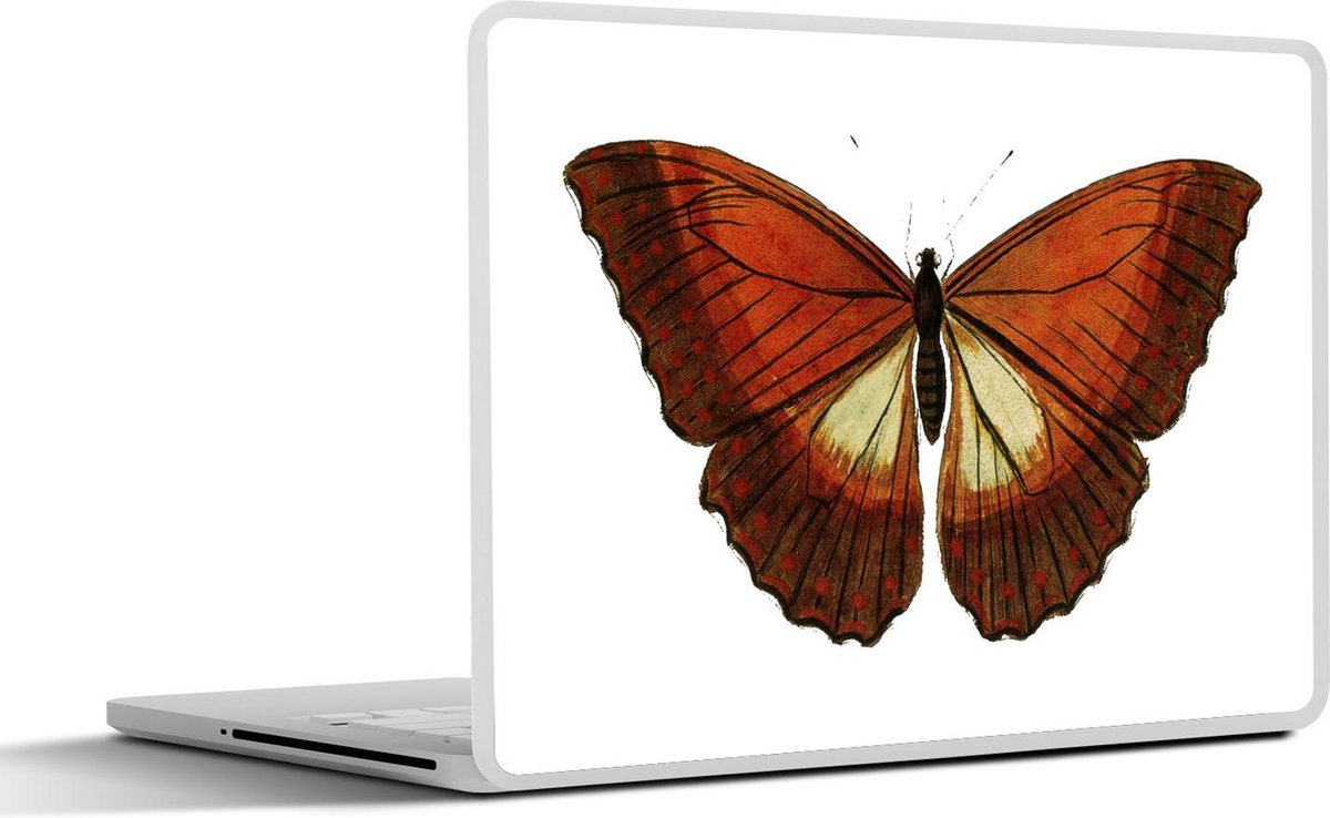 Laptop sticker - 10.1 inch - Illustratie van een oranje vlinder met een witte vlek
