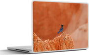 Laptop sticker - 10.1 inch - AFbeelding van een gaai met rode rotsen