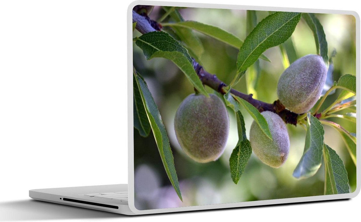 Laptop sticker - 10.1 inch - Amandel noot