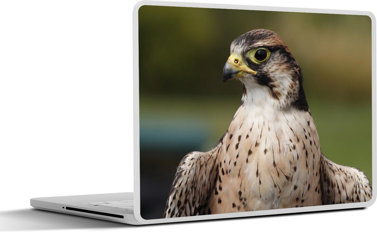 Laptop sticker - 10.1 inch -  een lannervalk