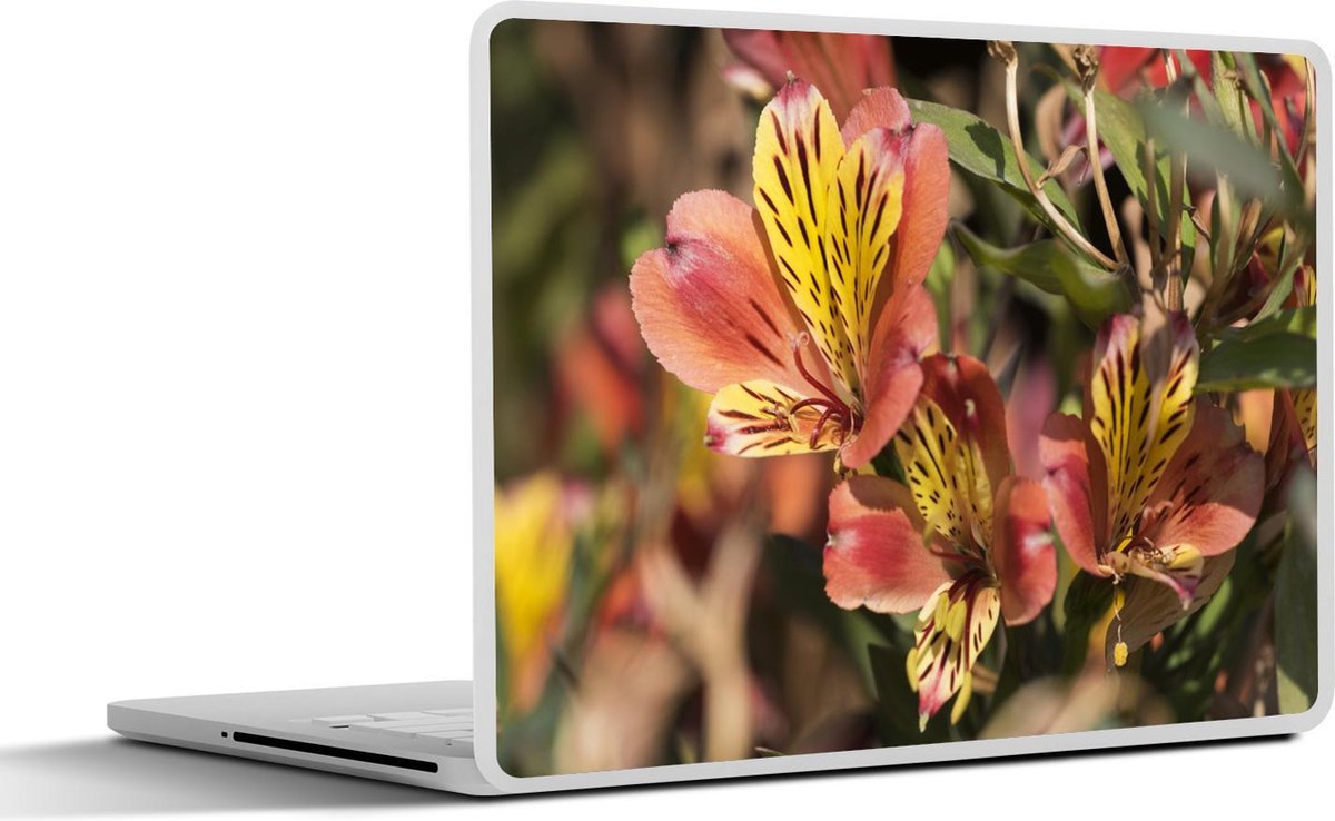 Laptop sticker - 10.1 inch - Alstroemeria in de variant 'Indian Summer'