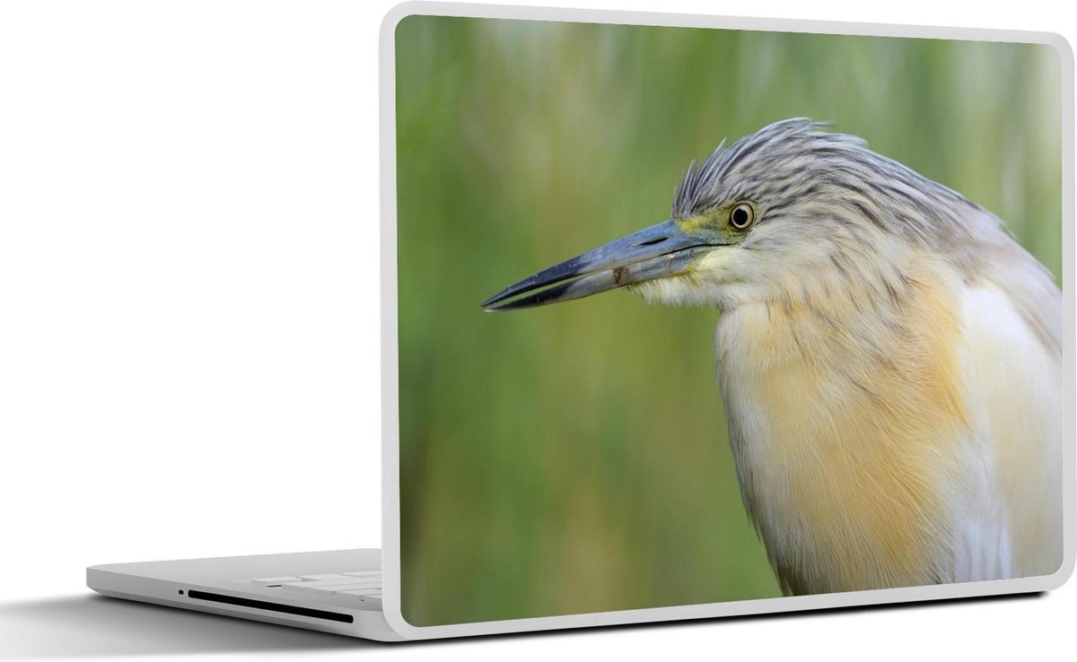 Laptop sticker - 10.1 inch -  een ralreiger in Hongarije